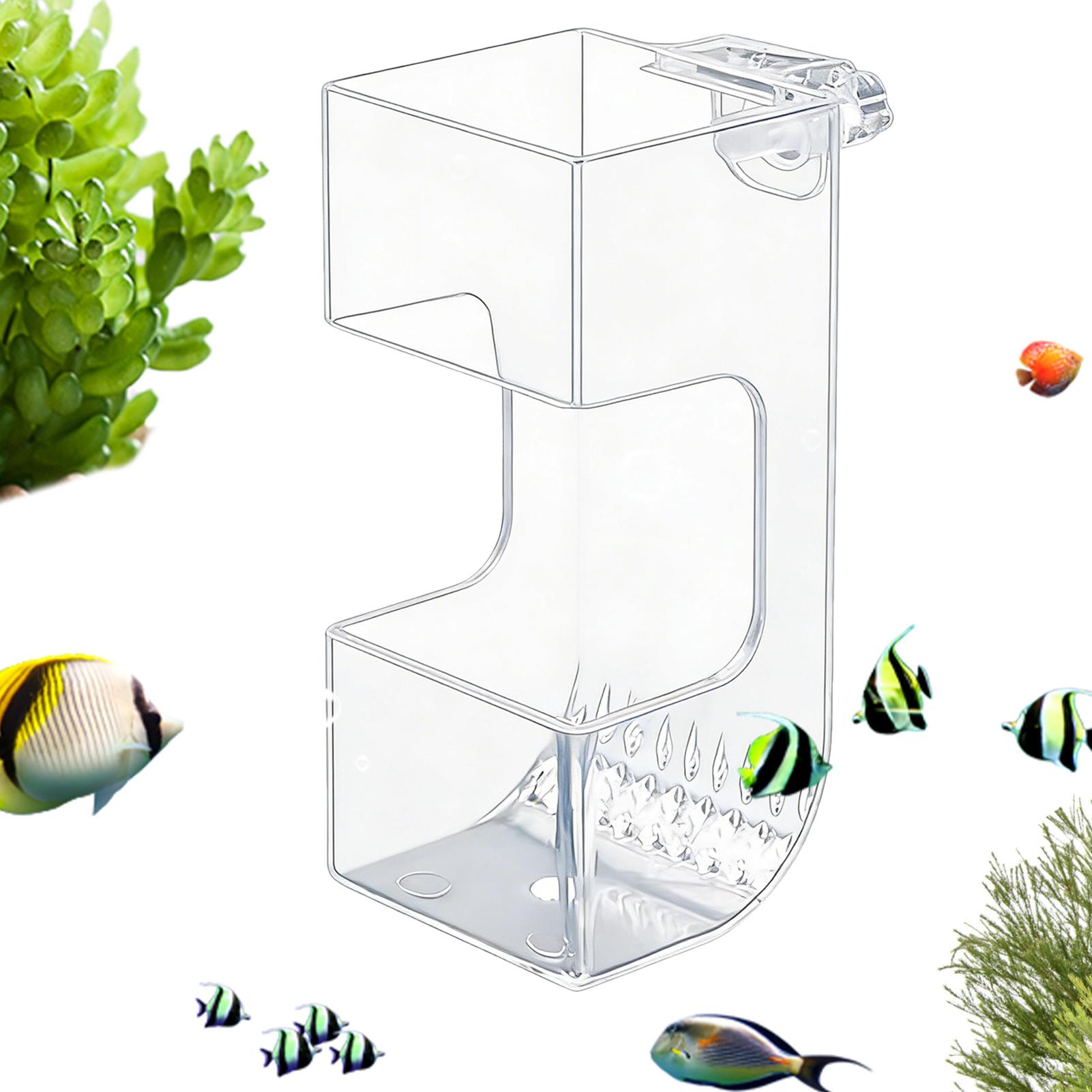 어항 물고기 먹이통 투명 사료통 물고기 먹이통 접시 그 - Aquarium Fish Holiday Food 리뷰 및 가격
