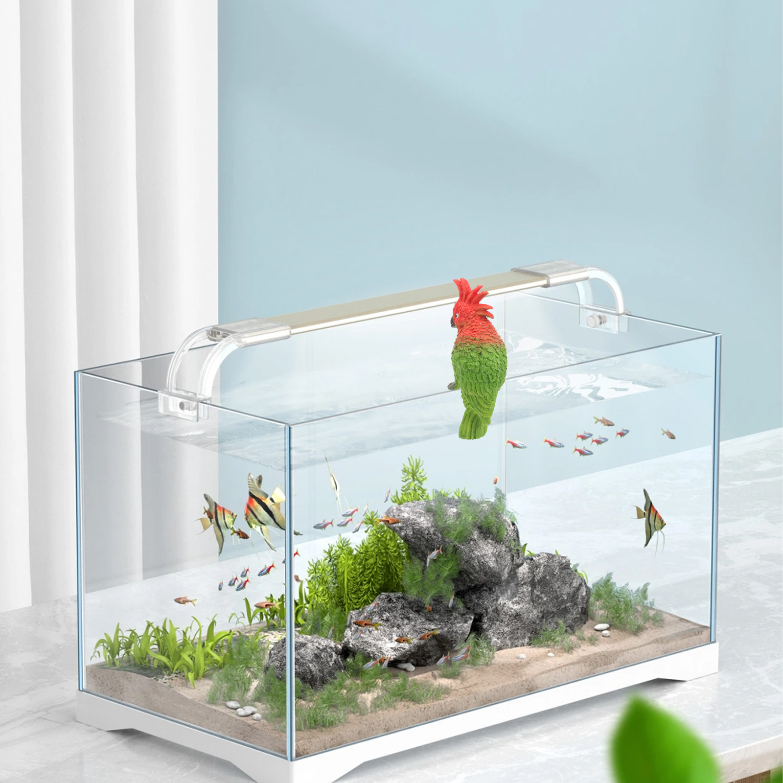 미니 앵무새 수족관 벽걸이 레진 소형 어항 장식품 컴팩 - Aquarium Fish Parrot 리뷰 및 가격
