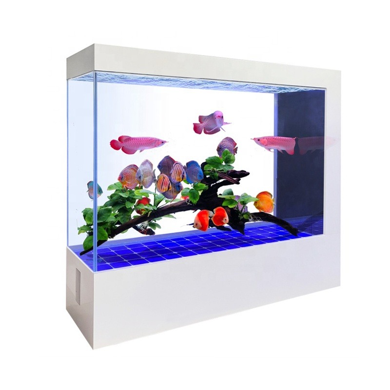 도매 맞춤 최신 디자인 블랙 유리 수족관 가격 어항 수 - Aquarium Fish And Price 리뷰 및 가격