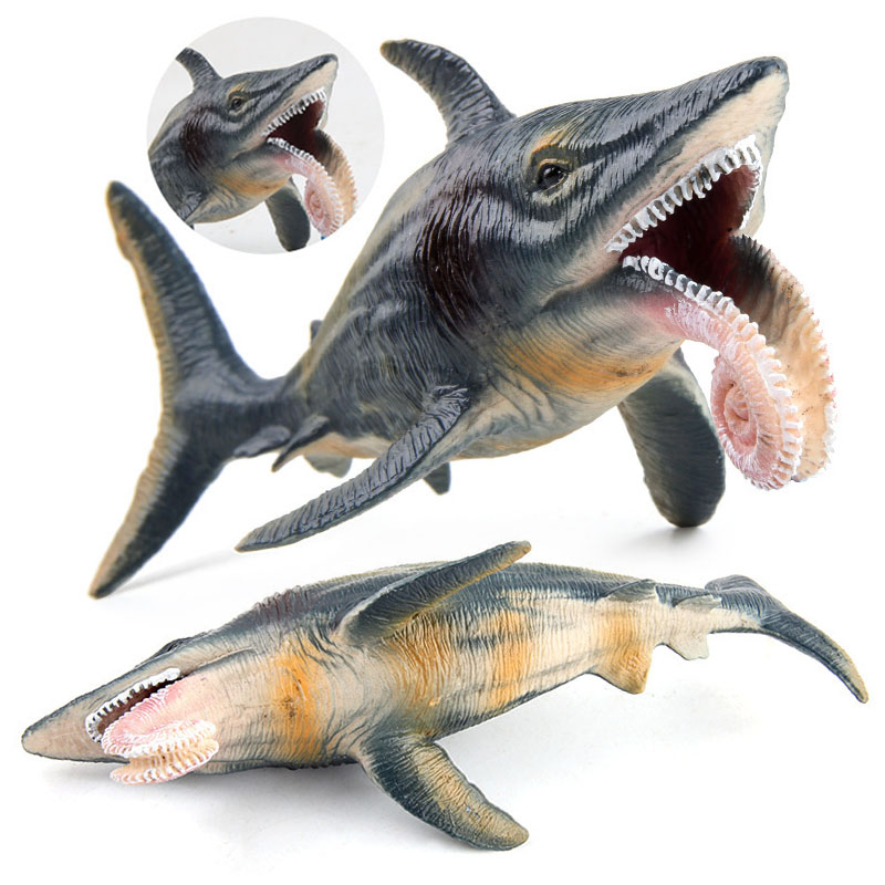 야만인 바다 바다 생활 Helicoprion 고블린 상 - Aquarium Fish Keeping 리뷰 및 가격