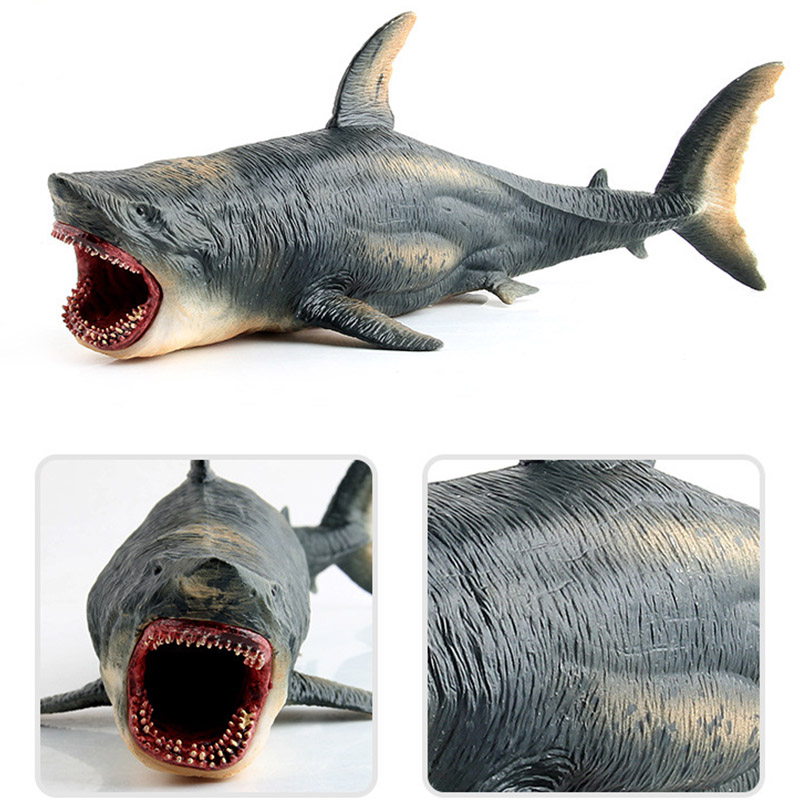 야만인 바다 바다 생활 Helicoprion 고블린 상 - Aquarium Fish Keeping 리뷰 및 가격