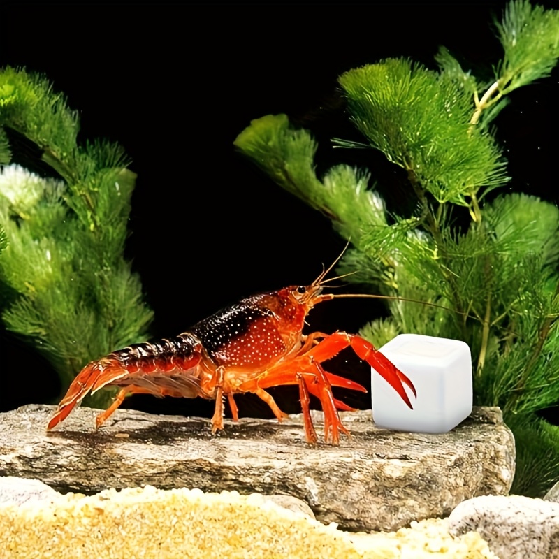 6개입 어항 칼슘 블록 미네랄 수족관 용품 파충류 연마 - Aquarium Fish Hiding Places 리뷰 및 가격