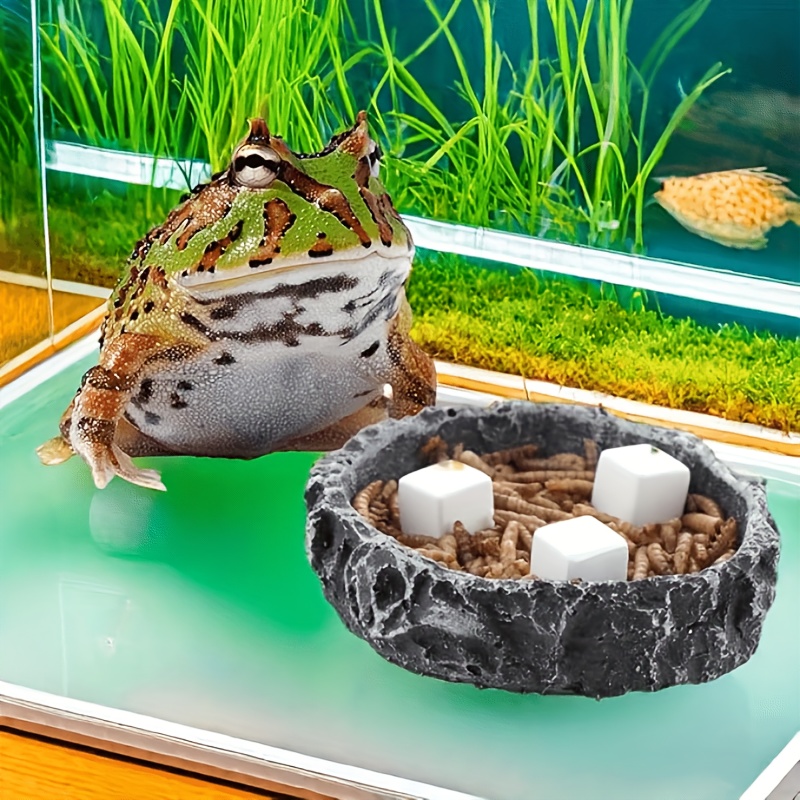 6개입 어항 칼슘 블록 미네랄 수족관 용품 파충류 연마 - Aquarium Fish Hiding Places 리뷰 및 가격