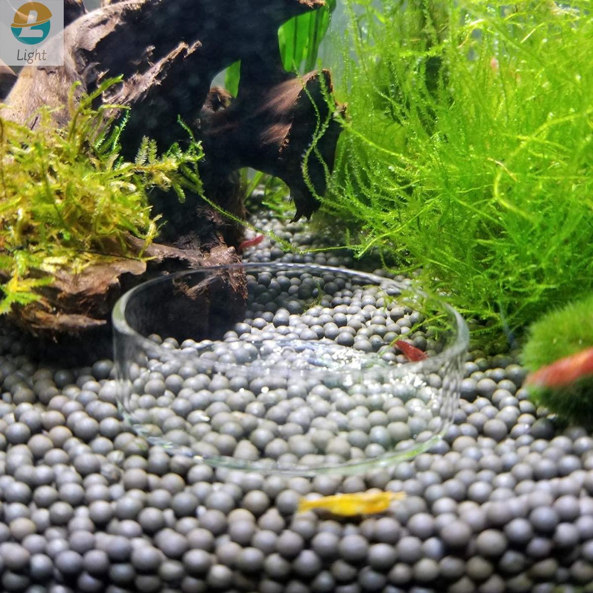 수족관 피더 그릇 접시 투명 유리 트레이, 물 깨끗한  - Aquarium Fish Keeping 리뷰 및 가격