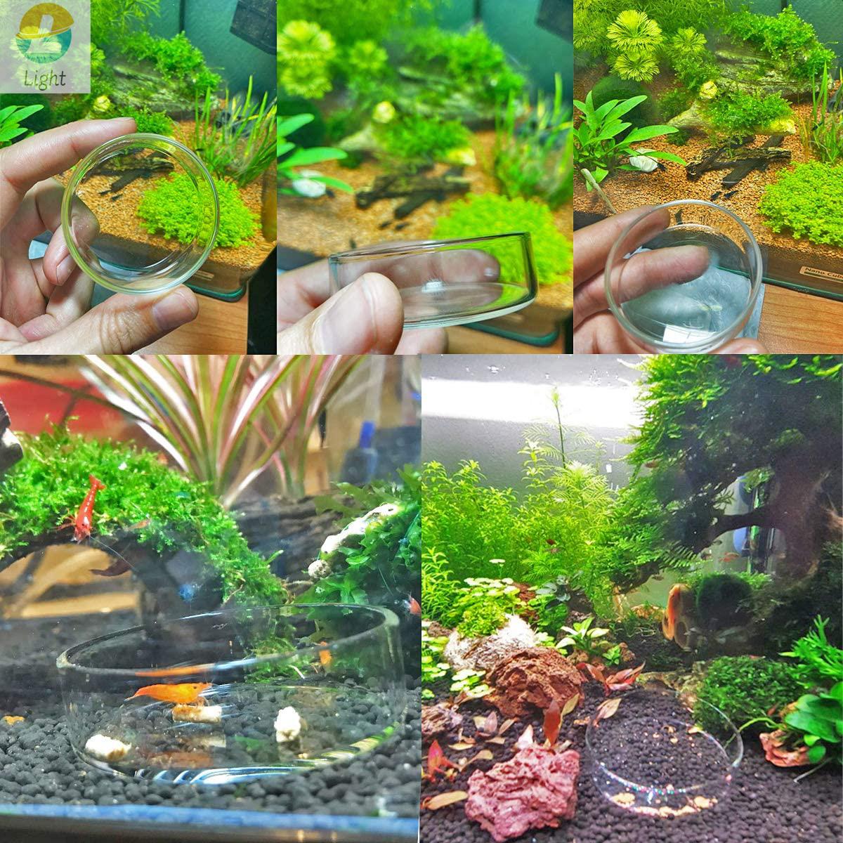 수족관 피더 그릇 접시 투명 유리 트레이, 물 깨끗한  - Aquarium Fish Keeping 리뷰 및 가격