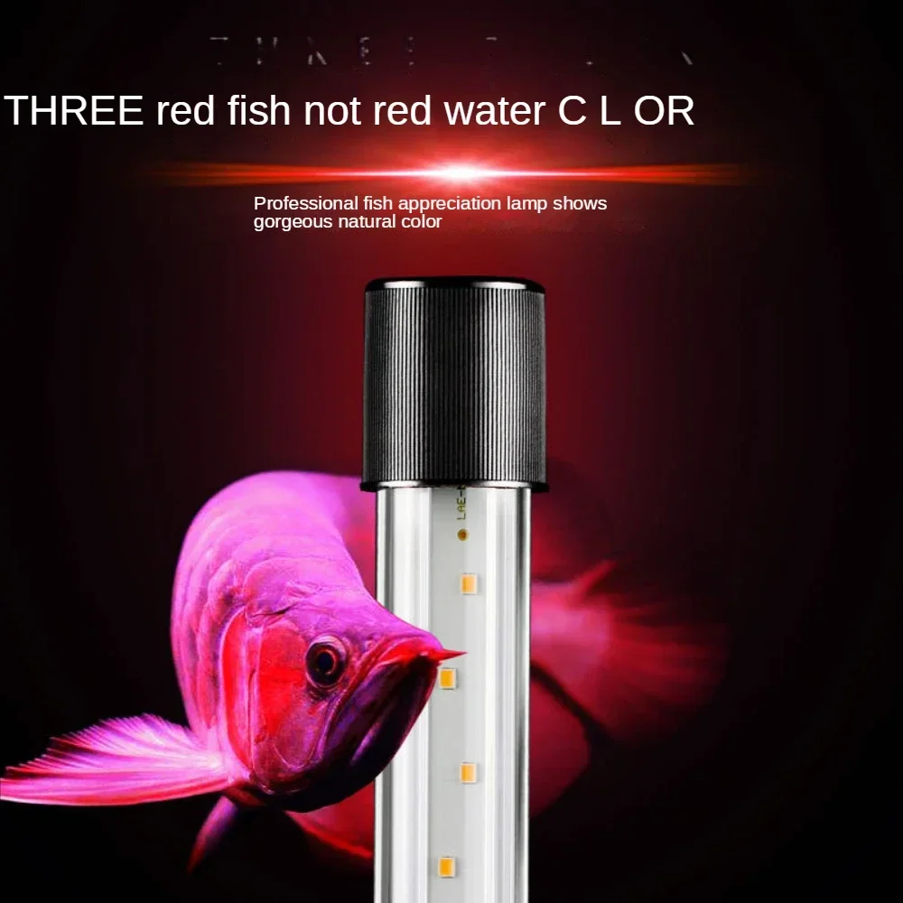 아로와나 램프, LED 유리 수족관 풍경 램프, 앵무새 - Aquarium Fish Parrot 리뷰 및 가격